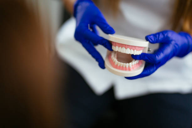Trusted Danbury, CT Dental Services Experts